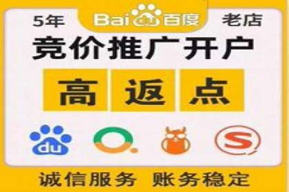 百度竞价排名优化技巧与成功案例分享
